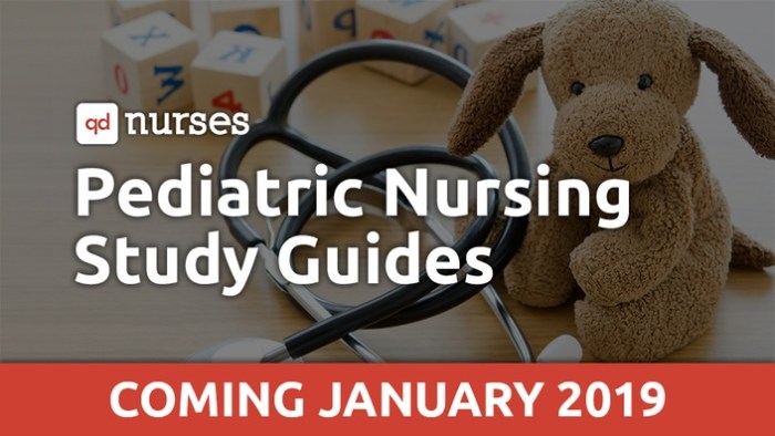 Pn pediatric nursing online practice 2023 a