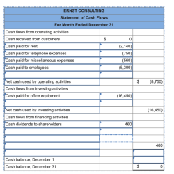 Ernst consulting statement of cash flows