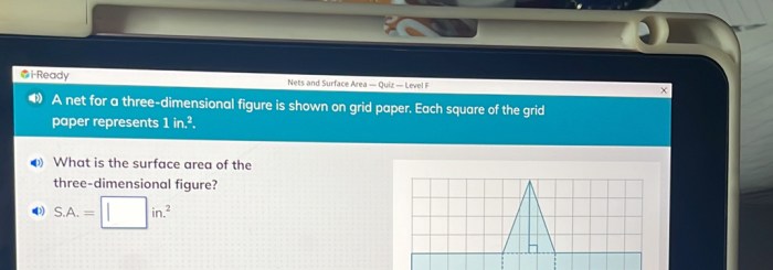 Nets and surface area iready