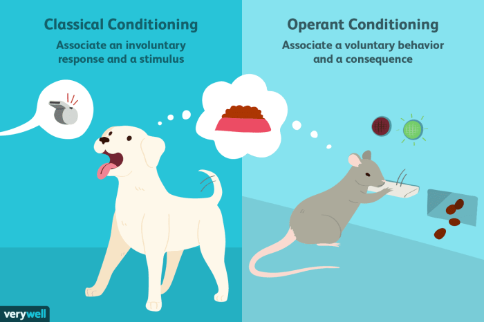 Classical and operant conditioning worksheet