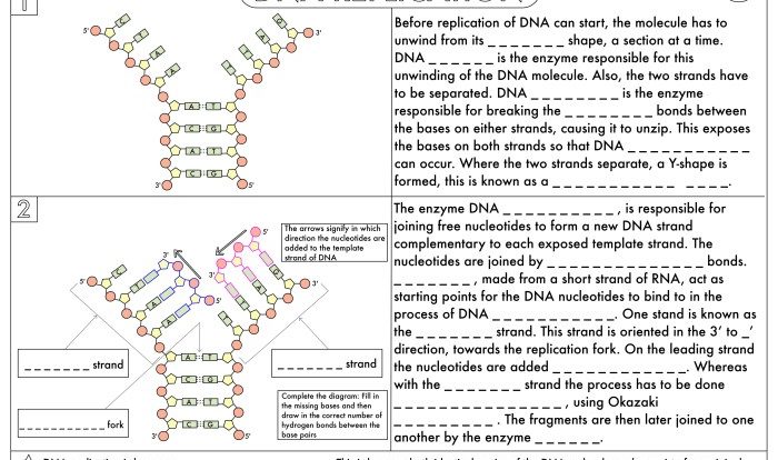 Review of protein synthesis worksheet