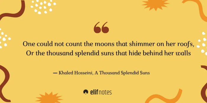 Splendid thousand suns