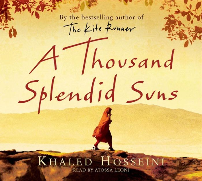 A thousand splendid suns poem