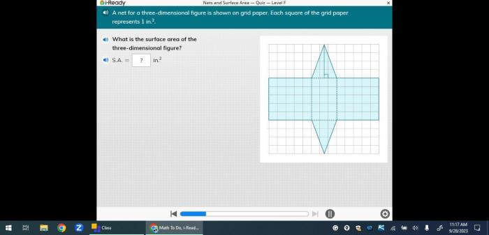 Nets and surface area iready