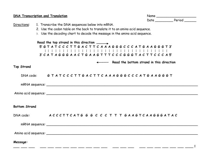 Review of protein synthesis worksheet