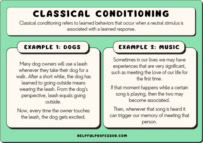 Classical and operant conditioning worksheet