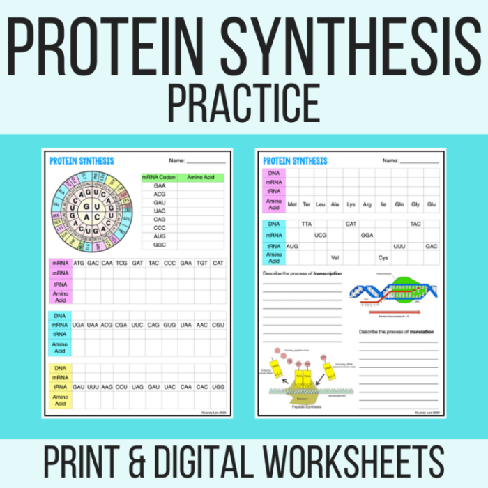 Review of protein synthesis worksheet