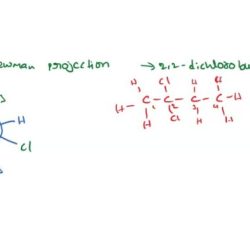 Methylhexane newman bond projection c3 c2 line notation convert socratic along double determine order