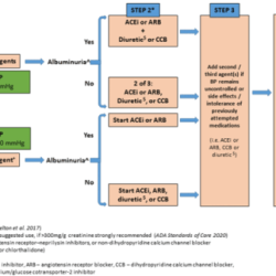 Shadow health hypertension and type 2 diabetes