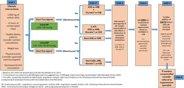 Shadow health hypertension and type 2 diabetes