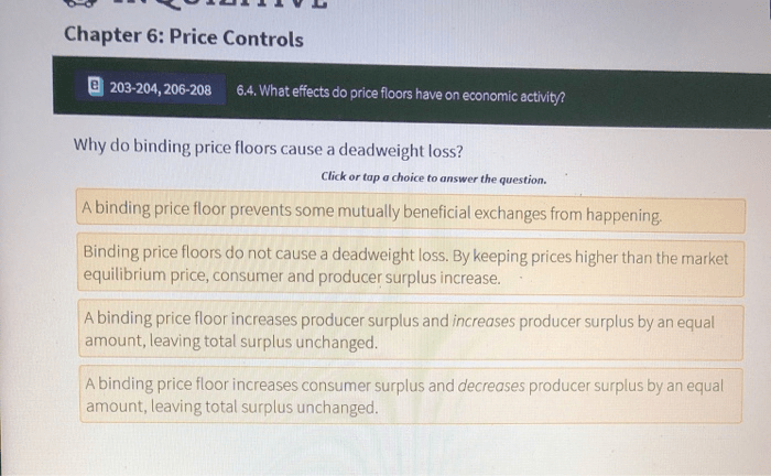 Chapter 6 section 1 price controls worksheet answers