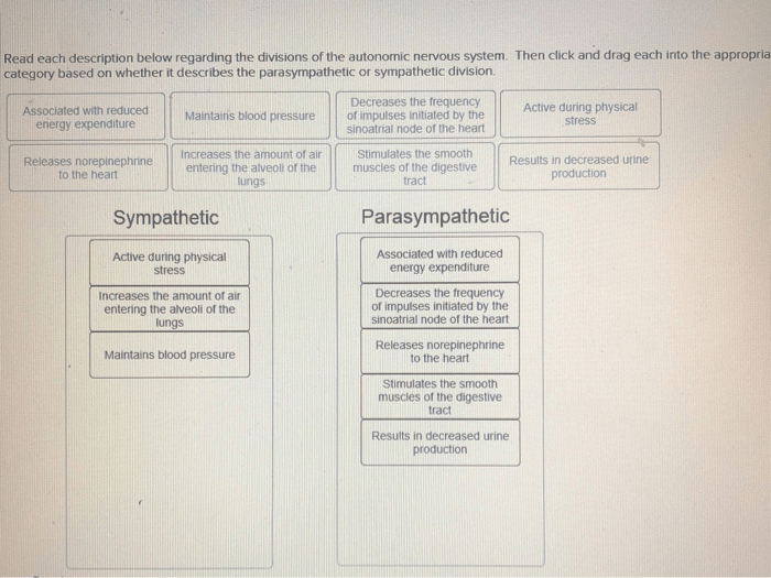 Drag each description to symptom of groupthink it describes.